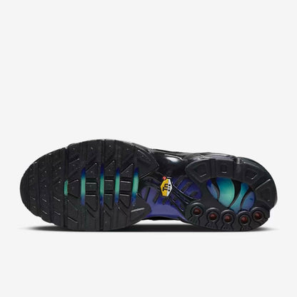 Nike Airmax Plus TN “Unity/Berlin