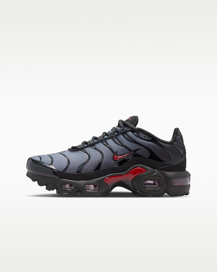 Nike Air Max Plus Drift "Concord"