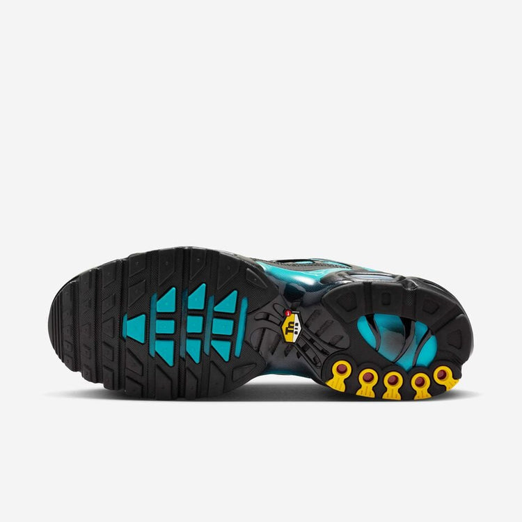 Nike Air Max Plus Tn 'Black Dusty Cactus